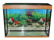Zelaqua аквариум с тумбой прямоугольный 200 л. – купить по низкой цене