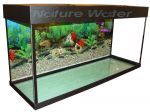 Zelaqua аквариум прямоугольный 220 л. – купить по низкой цене