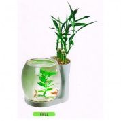 NW03 WHITE, аквариум для содержания петушков объём 3л, свет LED-3 белых диода – купить по низкой цене