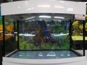 Панорамный аквариум "Аквас" 250 л. – купить по низкой цене