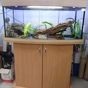 Панорамный аквариум "Аквас" 130 л. – купить по низкой цене