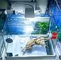 Нано аквариум KW Zone Dophin GT3003, 31л