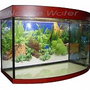 Панорамный аквариум "Аквас" 100 л. – купить по низкой цене