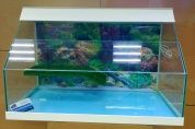 Аквариум для черепах открытый Природный водоем 100 литров – купить по низкой цене