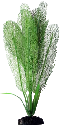 Шелк Апоногетон мадагаскарский зеленый 20 см