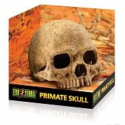 Укрытие для рептилий Exo Terra череп примата – купить по низкой цене