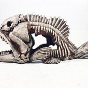 Декор Скелет Рыбы 904