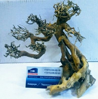 Коряга дерево Бонсай ПВ2