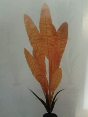 Шелк Эхинодорус желтый 50 см