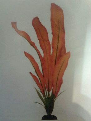 Шелк Эхинодорус красно-желтый 10 см