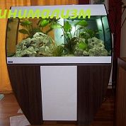 Оформление аквариума от 160 до 350л.