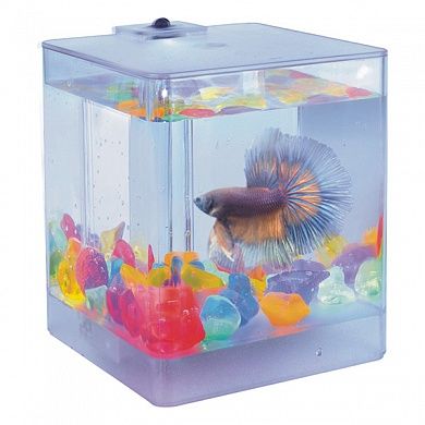 Аквариум Aqua Box Betta 1