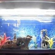 Панорамный аквариум "Аквас" 500 л.