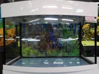 Панорамный аквариум "Аквас" 250 л.